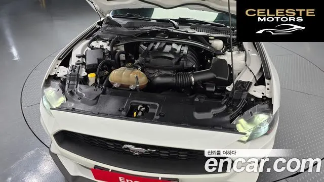 FORD Coupé 2019 — photo 6 sur 32