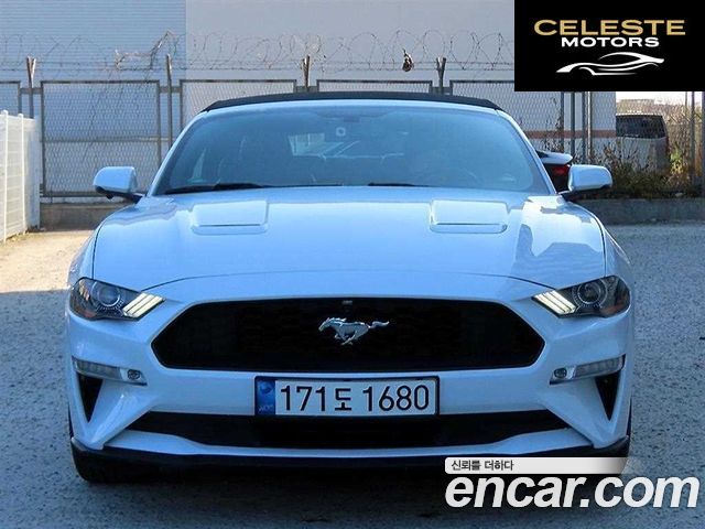 FORD Cabriolet 2020 — photo 21 sur 26