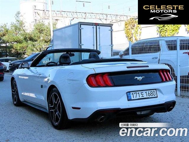 FORD Cabriolet 2020 — photo 24 sur 26