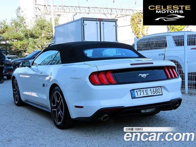 FORD Cabriolet 2020 — photo 3 sur 26