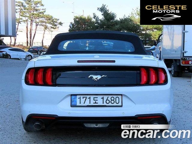 FORD Cabriolet 2020 — photo 4 sur 26