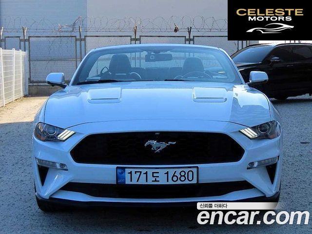 FORD Cabriolet 2020 — photo 5 sur 26