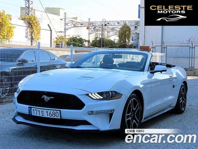 FORD Cabriolet 2020 — photo 6 sur 26