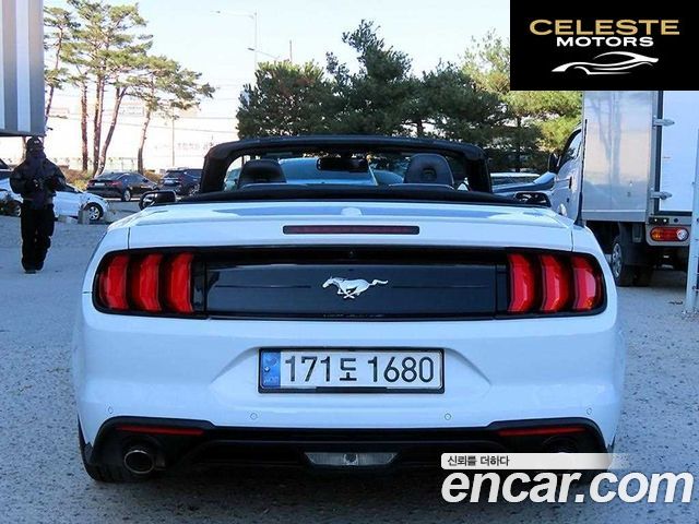 FORD Cabriolet 2020 — photo 8 sur 26