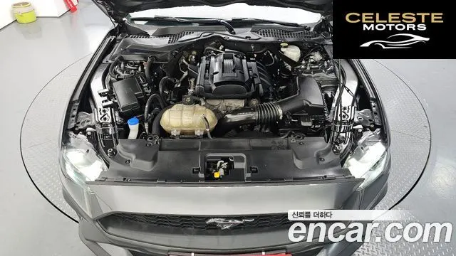 FORD Coupé 2020 — photo 6 sur 30