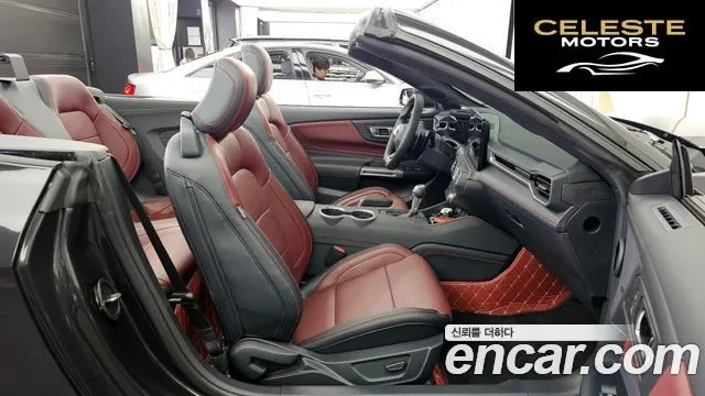 FORD 75.0 GT Premium Cabriolet 2024 — photo 17 sur 33