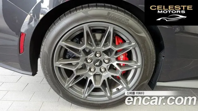 FORD 75.0 GT Premium Cabriolet 2024 — photo 5 sur 33