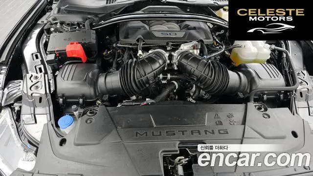 FORD 75.0 GT Premium Cabriolet 2024 — photo 6 sur 33
