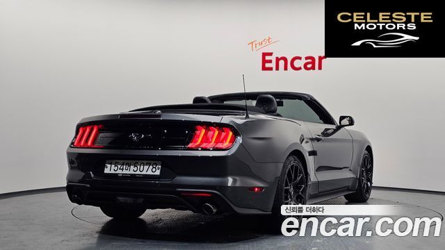 FORD Cabriolet 2020 — photo 2 sur 38