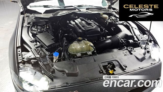 FORD Coupé 2020 — photo 6 sur 30