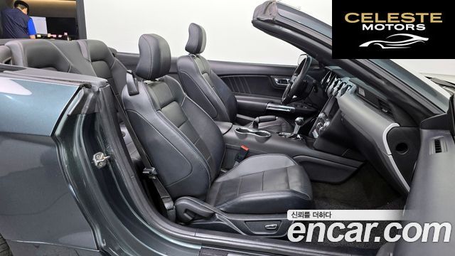 FORD GT Cabriolet 2016 — photo 11 sur 20