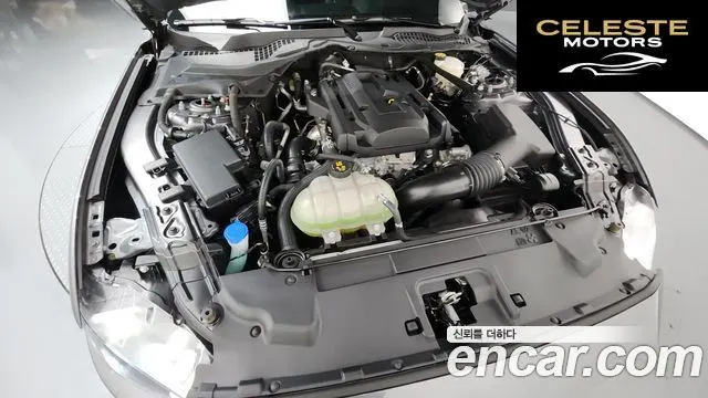 FORD Coupé 2021 — photo 6 sur 33