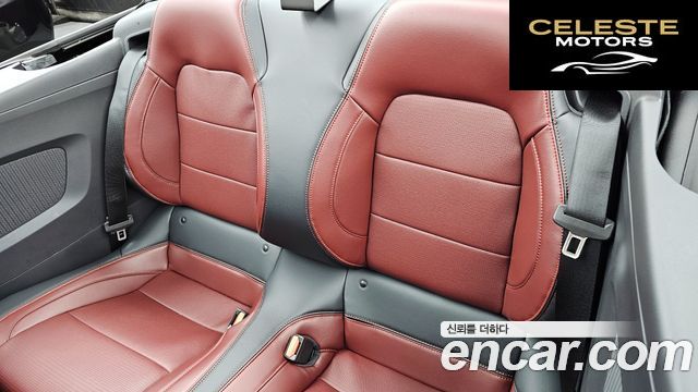 FORD 75.0 GT Premium Cabriolet 2024 — photo 16 sur 33