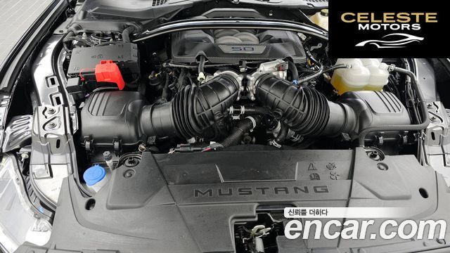 FORD 75.0 GT Premium Cabriolet 2024 — photo 6 sur 33