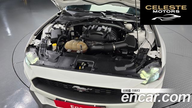 FORD Coupé 2019 — photo 6 sur 32