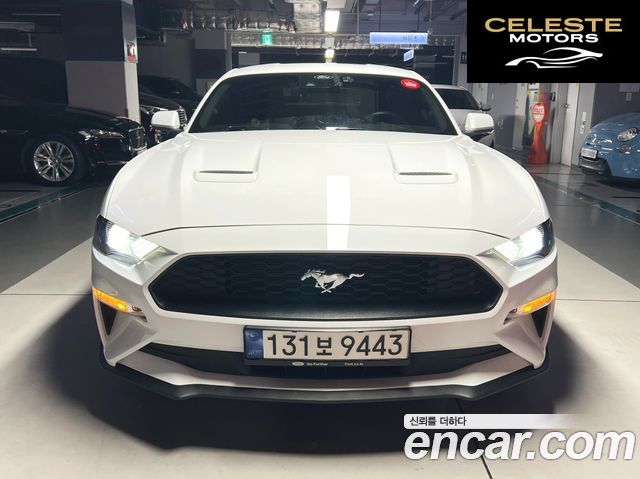 FORD Coupé 2023 — photo 3 sur 26