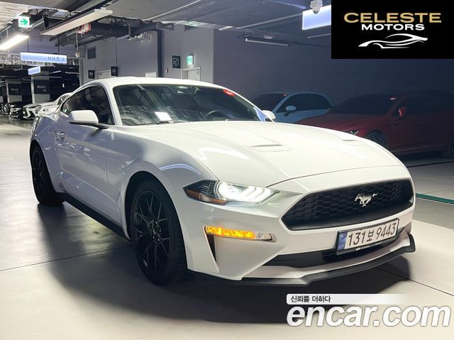 FORD Coupé 2023 — photo 5 sur 26
