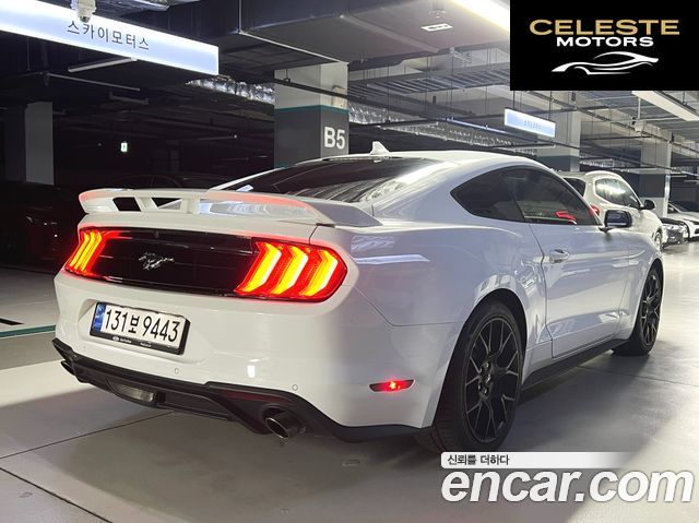FORD Coupé 2023 — photo 6 sur 26