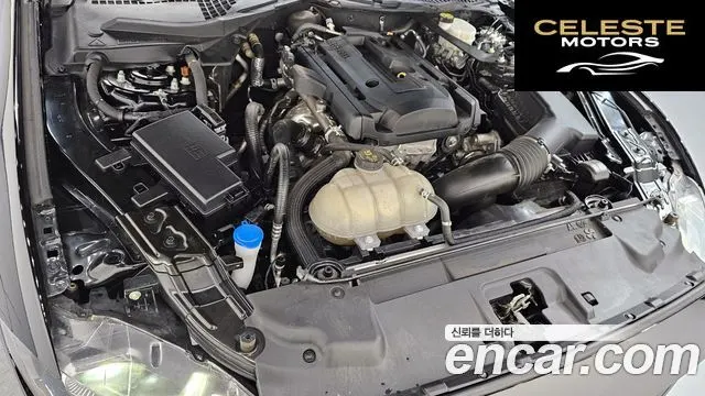 FORD Coupé 2023 — photo 6 sur 36