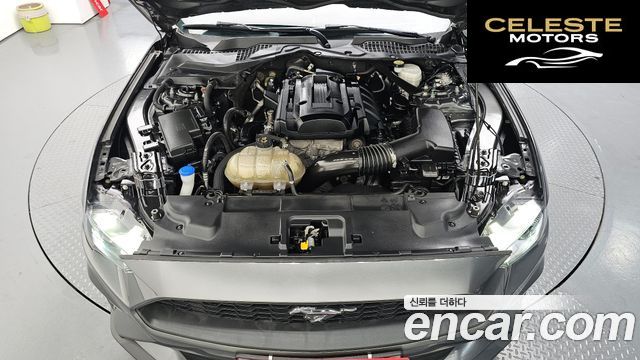 FORD Coupé 2020 — photo 6 sur 30