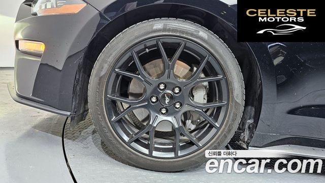 FORD Coupé 2023 — photo 5 sur 36