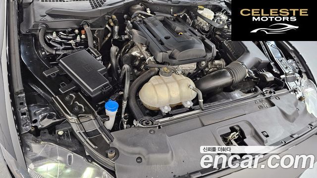 FORD Coupé 2023 — photo 6 sur 36