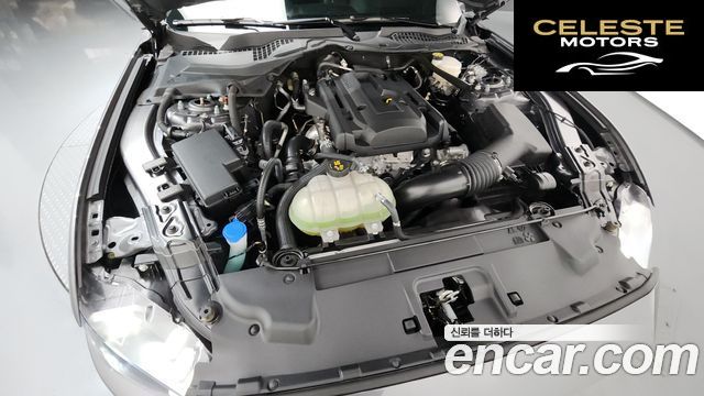 FORD Coupé 2021 — photo 6 sur 33