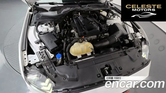 FORD Cabriolet 2021 — photo 6 sur 34