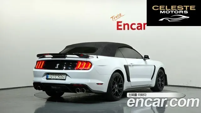 FORD Cabriolet 2021 — photo 31 sur 34