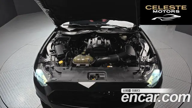 FORD Cabriolet 2017 — photo 6 sur 20