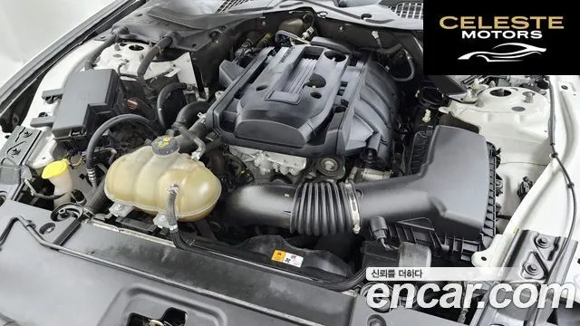 FORD Coupé 2017 — photo 6 sur 31