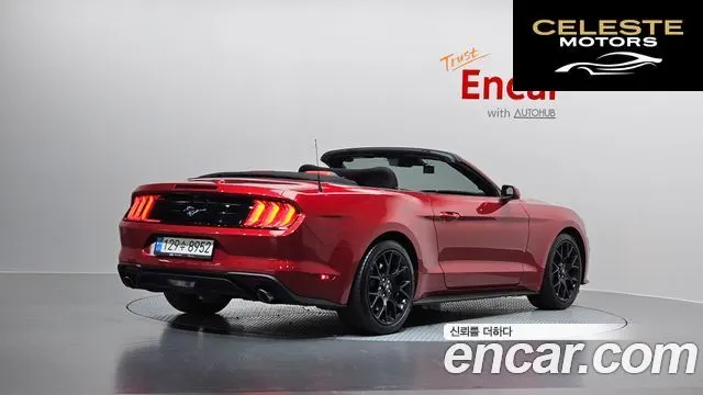 FORD Cabriolet 2022 — photo 2 sur 30