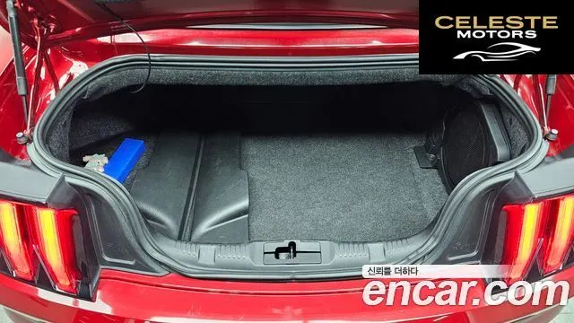 FORD Cabriolet 2022 — photo 22 sur 30
