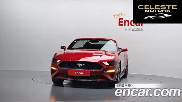 FORD Cabriolet 2022 — photo 3 sur 30