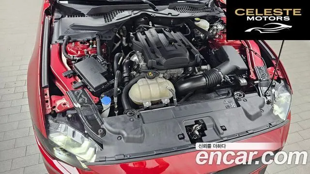 FORD Cabriolet 2022 — photo 6 sur 30