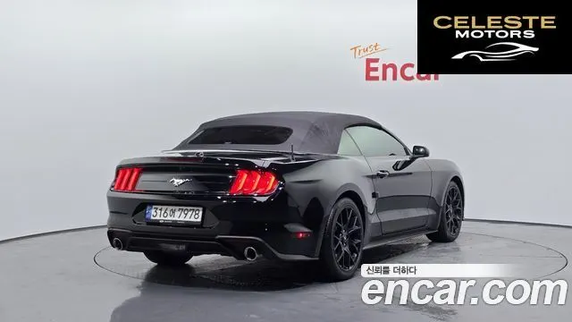 FORD Cabriolet 2021 — photo 2 sur 31