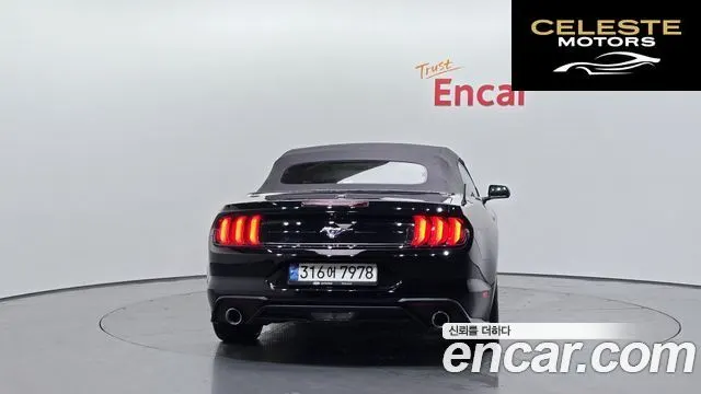 FORD Cabriolet 2021 — photo 4 sur 31