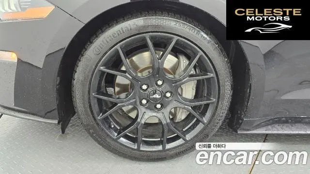 FORD Cabriolet 2021 — photo 5 sur 31