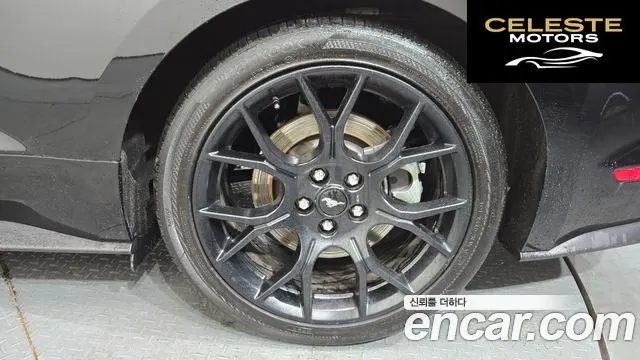 FORD Cabriolet 2021 — photo 7 sur 31