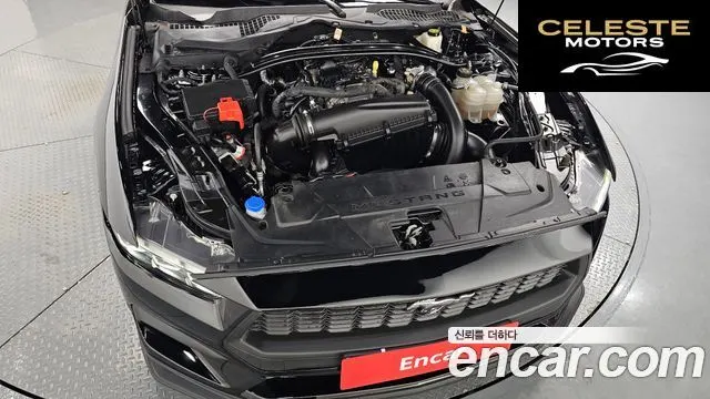 FORD 72.3 Premium Cabriolet 2024 — photo 5 sur 37
