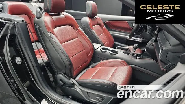 FORD 72.3 Premium Cabriolet 2024 — photo 15 sur 37