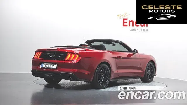 FORD Cabriolet 2022 — photo 2 sur 30