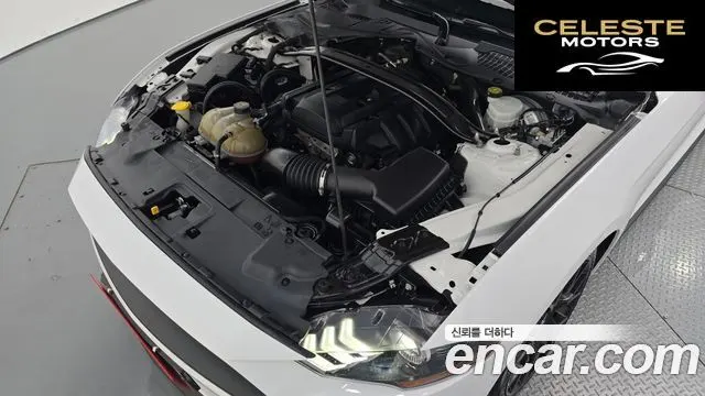 FORD Cabriolet 2018 — photo 6 sur 20