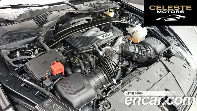 FORD 75.0 GT Premium Cabriolet 2024 — photo 6 sur 30