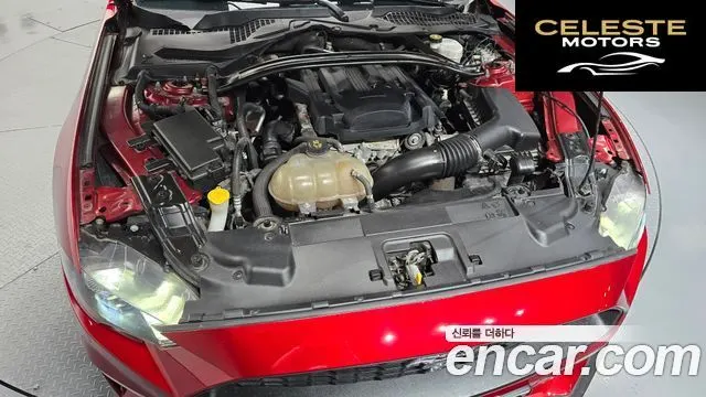 FORD Coupé 2019 — photo 6 sur 26