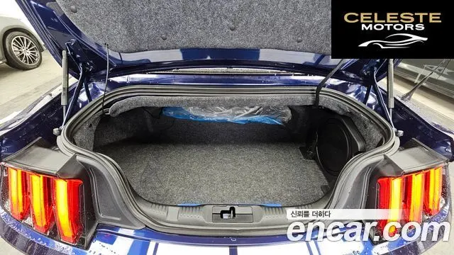 FORD GT Cabriolet 2019 — photo 20 sur 26
