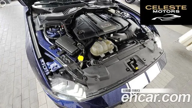 FORD GT Cabriolet 2019 — photo 6 sur 26