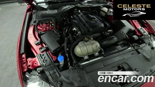 FORD Coupé 2022 — photo 6 sur 37