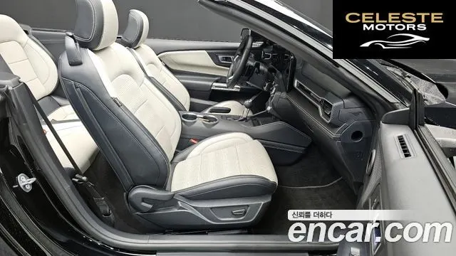 FORD 75.0 GT Premium Cabriolet 2024 — photo 16 sur 30