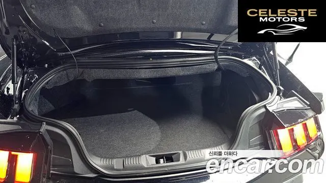 FORD 75.0 GT Premium Cabriolet 2024 — photo 26 sur 30